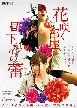 恋爱番《夏日回声》海报